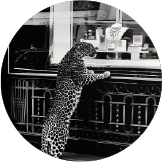 Photographie artistique