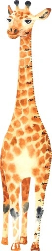 Sticker Mural - Mesure de la taille / Girafe