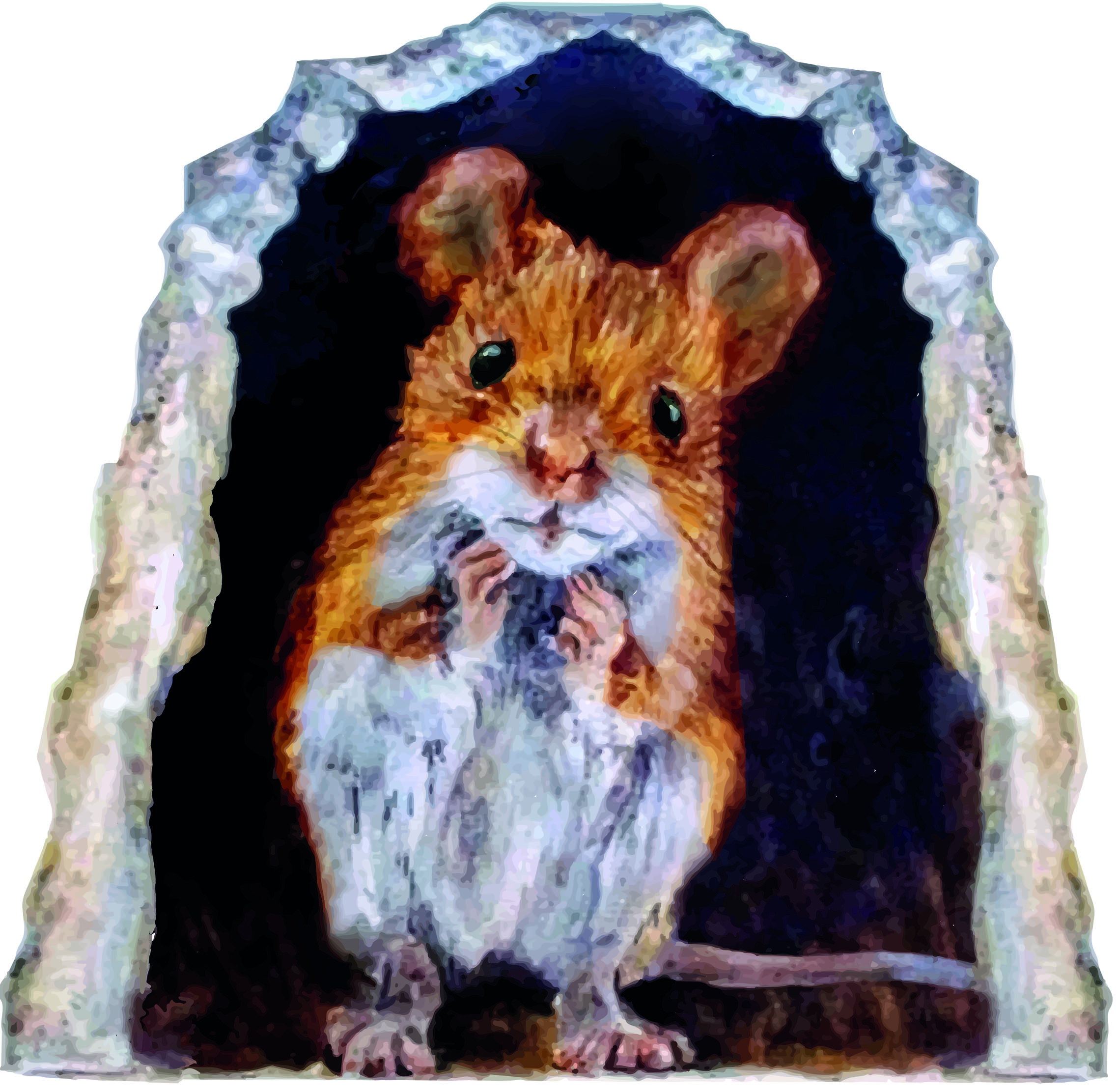 Sticker mural - Souris domestique dans le trou