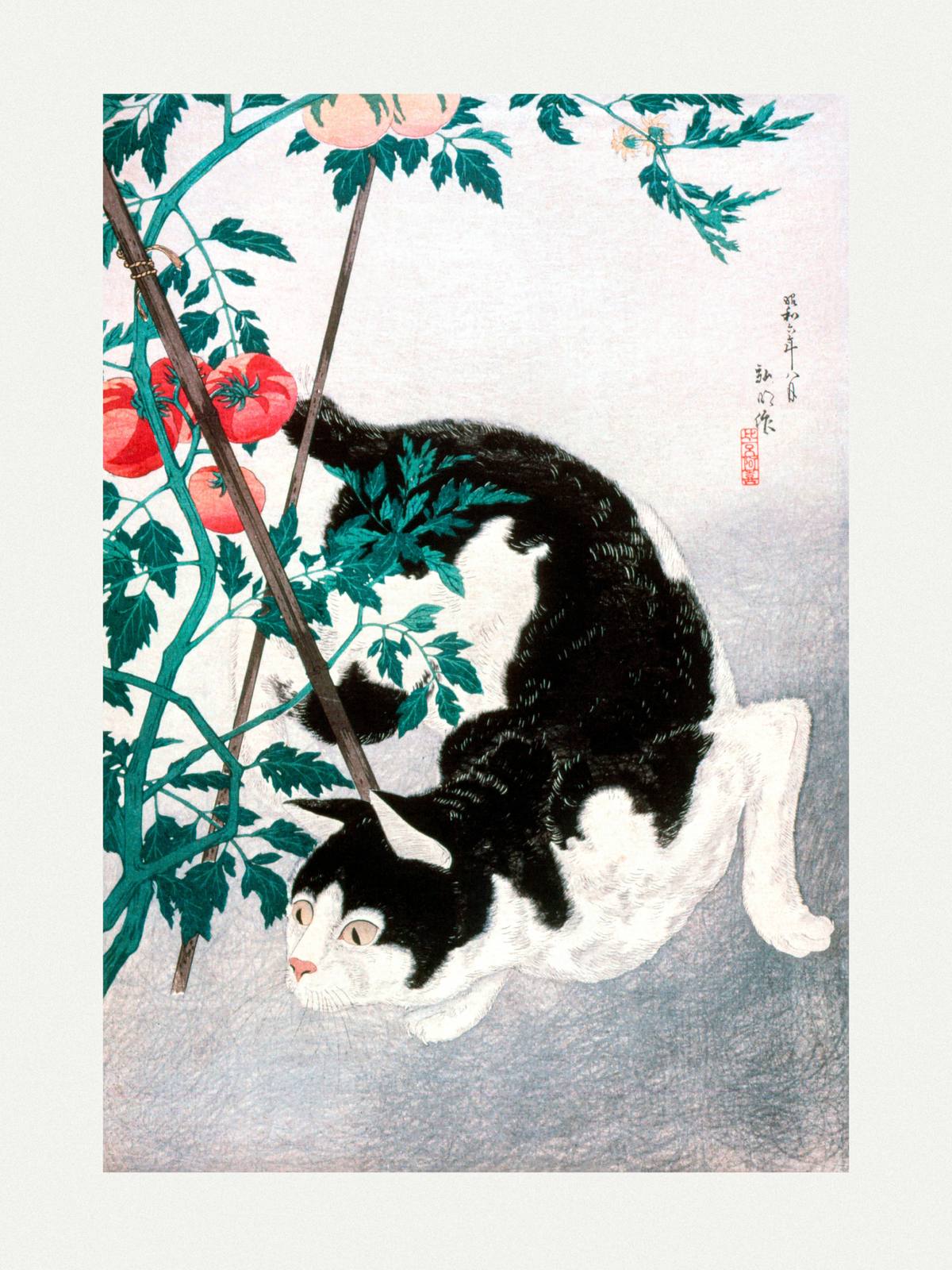 Affiche - Chat et Tomates