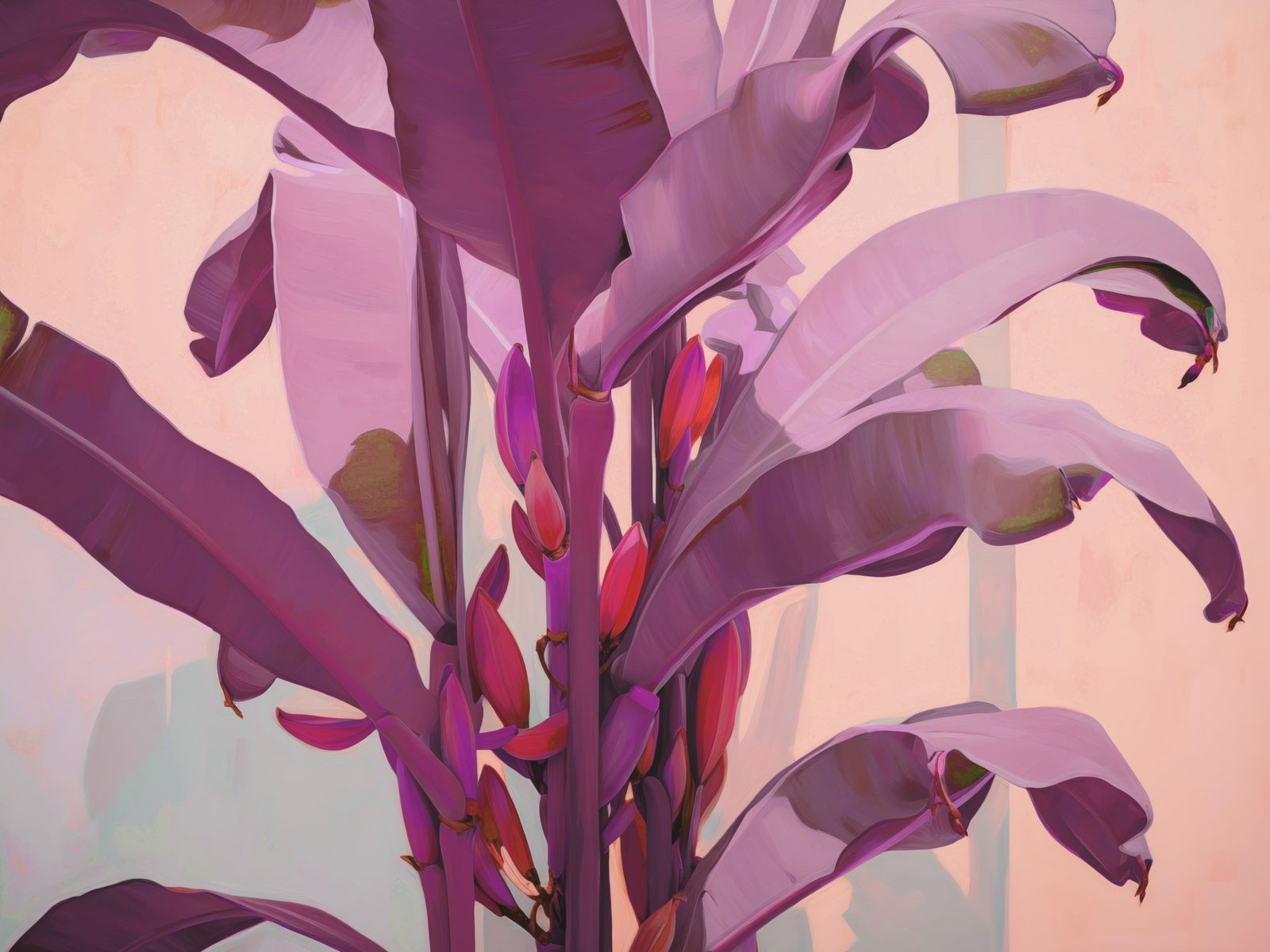 Poster - Feuilles de bananier violettes