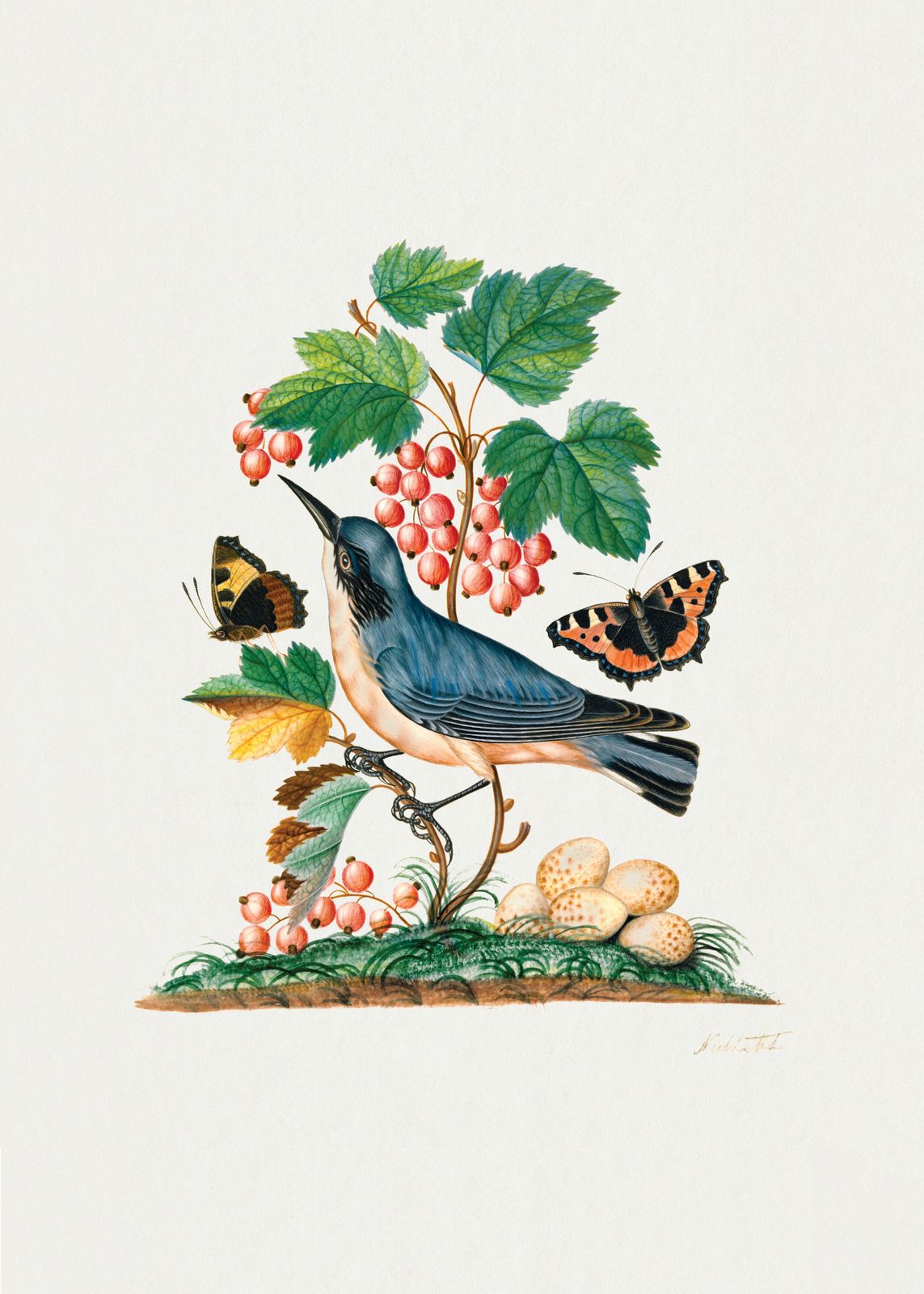 Affiche - Oiseau et Papillon