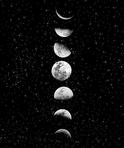 Affiche - Phases de la Lune