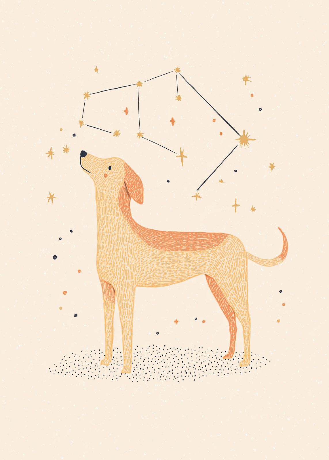 Affiche - Constellation Chien