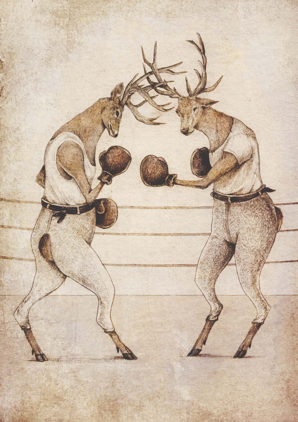 Affiche - Cerfs Boxeurs