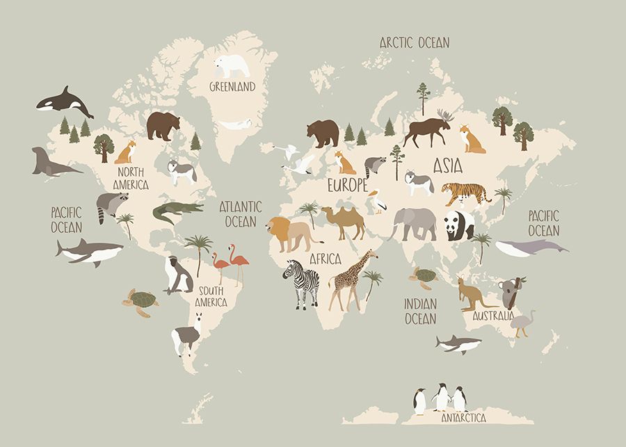Affiche - Carte du monde des animaux