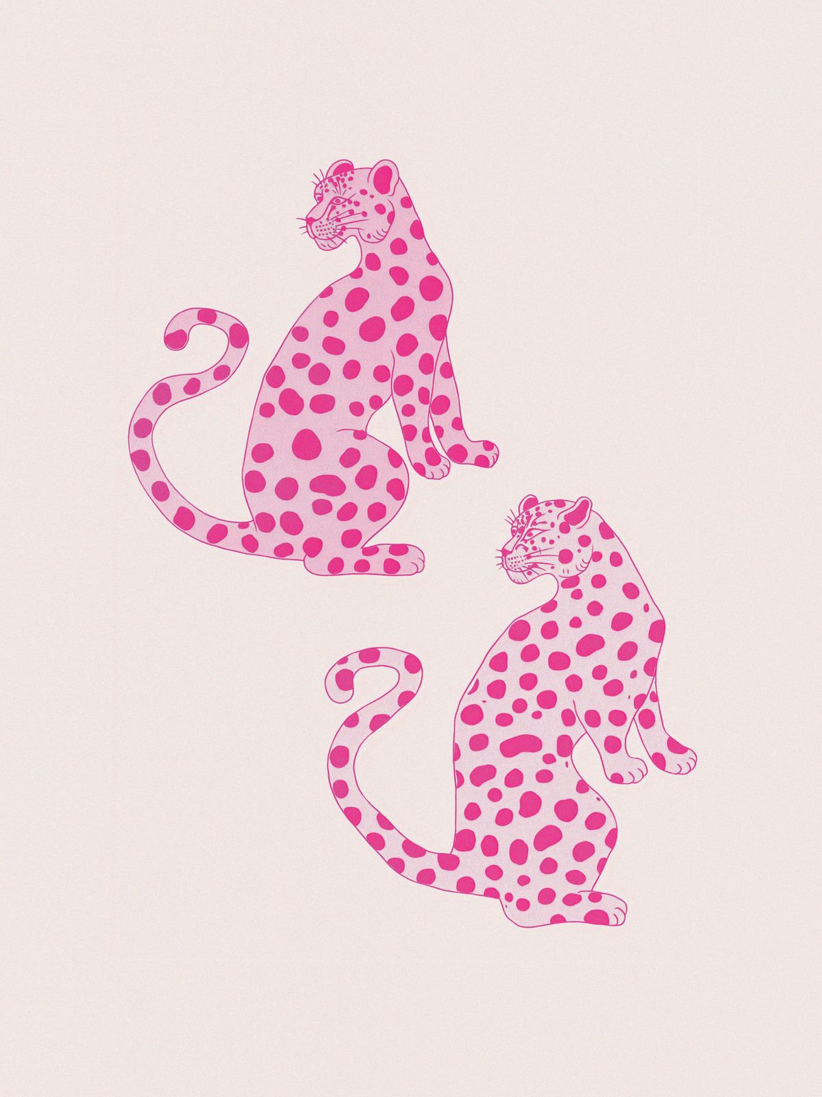 Affiche - Léopards Roses