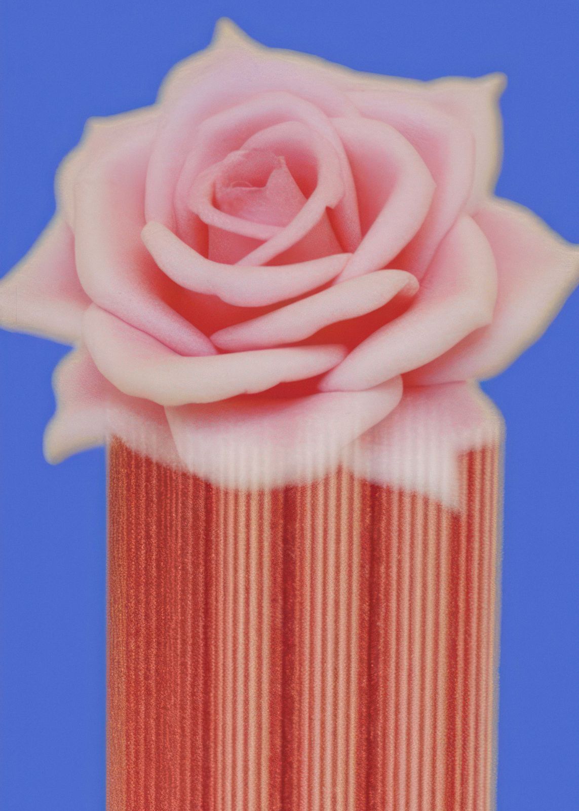 Affiche - Art de Rose
