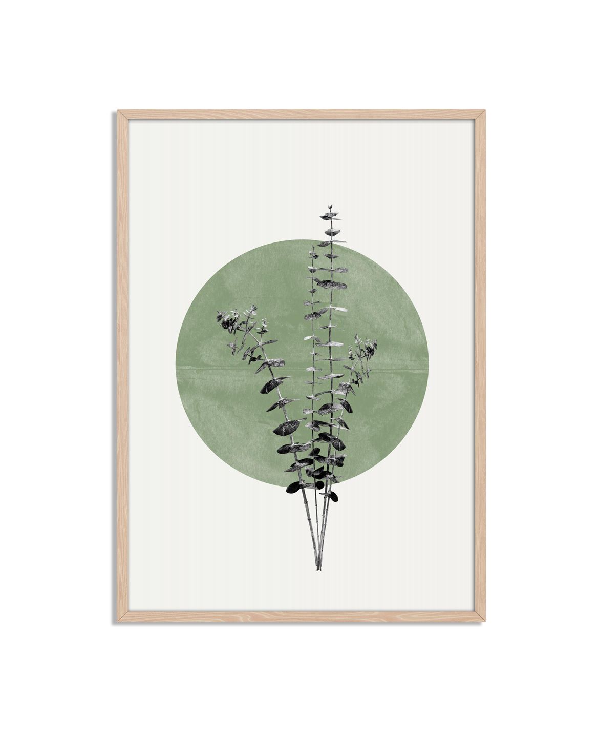 Affiche Cercle Vert Botanique