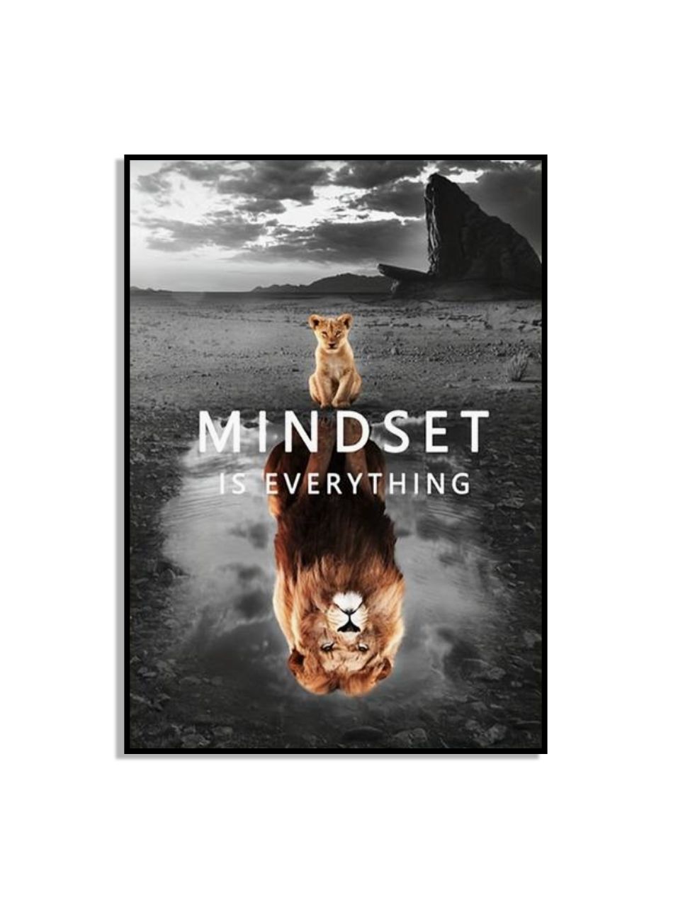 Mindset Is Everything Poster Motivant
