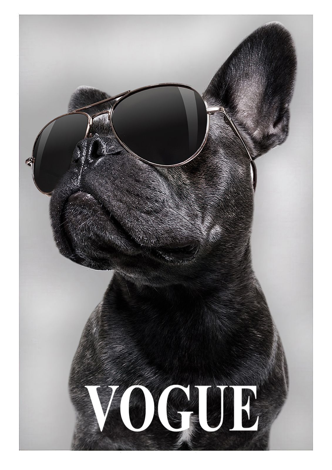 Affiche Murale de Chien Stylé