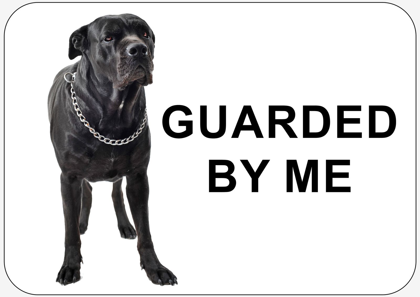 Sticker - Guarded By Me